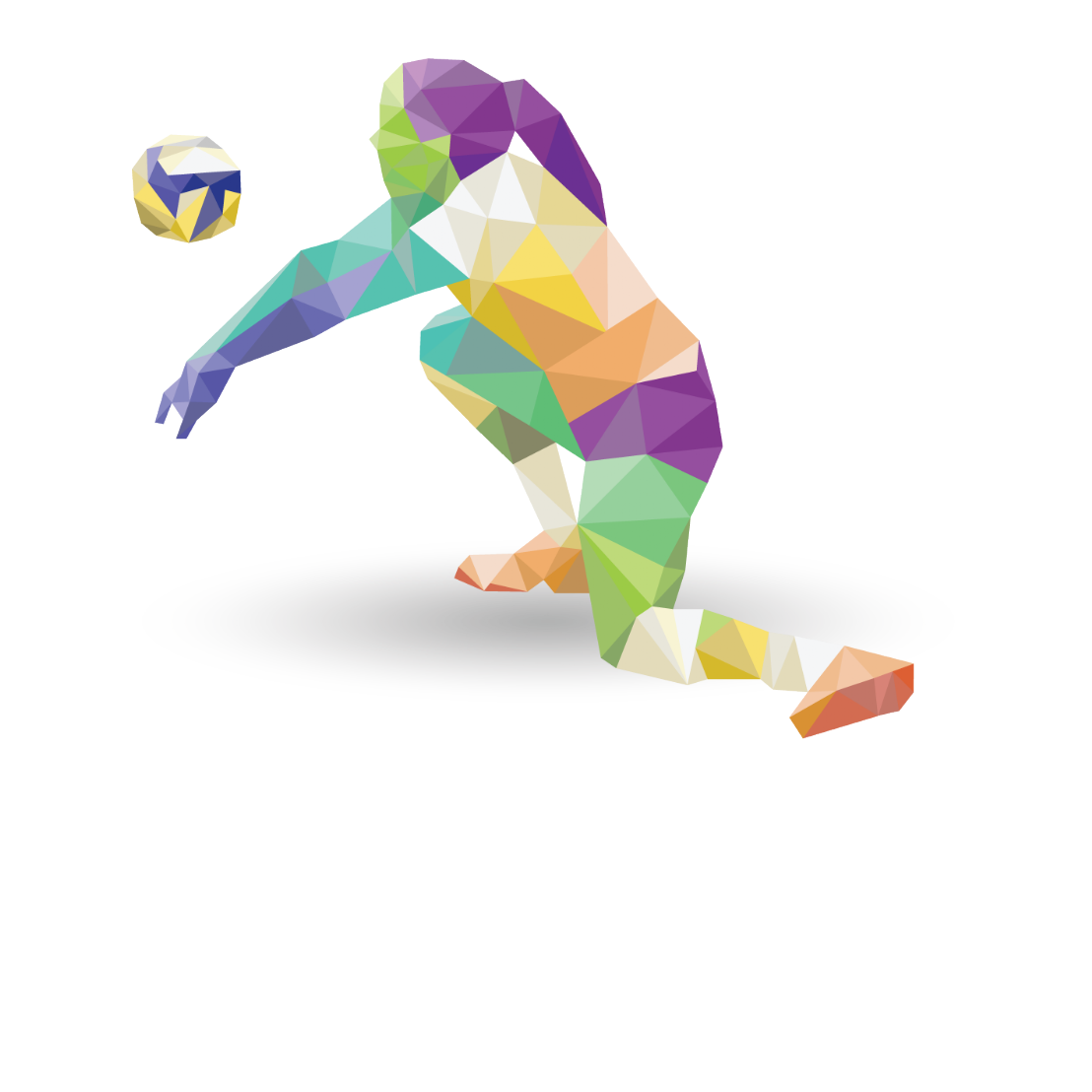 Pallavolo